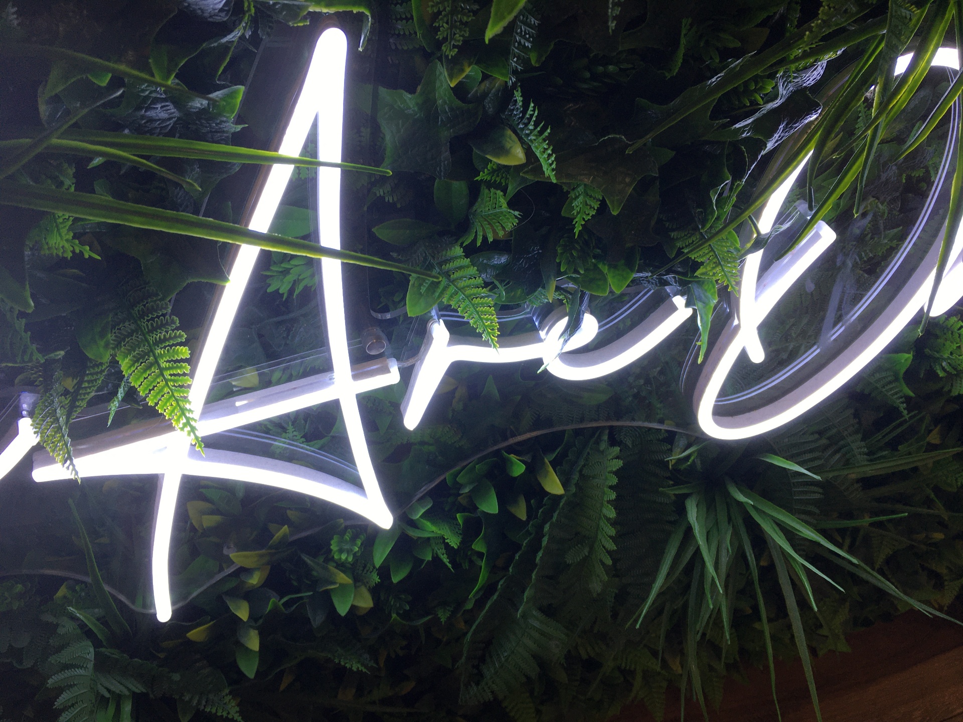 Neon sign project 1 by Complete Signs