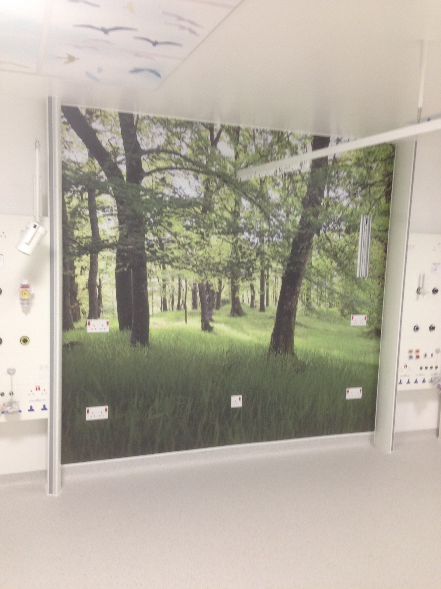 Display art project 12 by Complete Signs