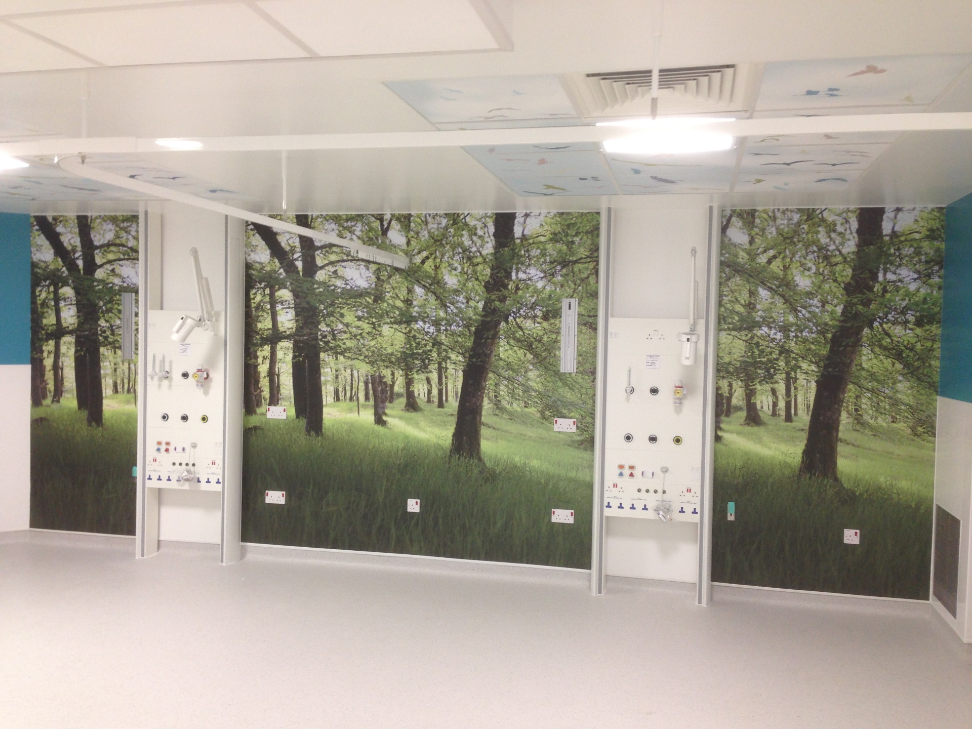 Printed graphics project 1 by Complete Signs